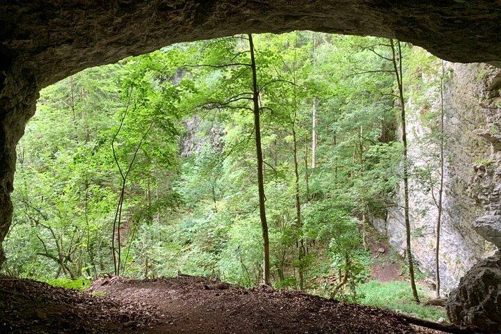 From Bled: Discovery Trail (Private)