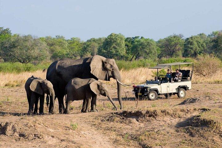 Game Drives no Parque Nacional do Zambeze