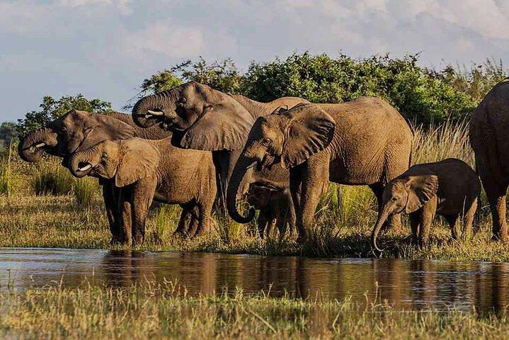 Hwange Dagstur