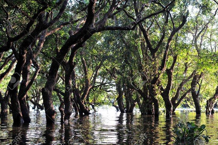 シェムリアップからのコンポン・プルーク村トンレサップ湖半日ツアー