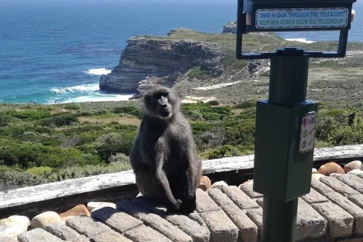 3 Day Private Full Day Cape Town Tour Includes Entries,Peninsula,Wine,City Tour,