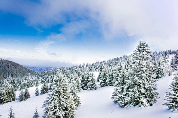 Excursion d'une journée en ski à Kopaonik au départ de Belgrade