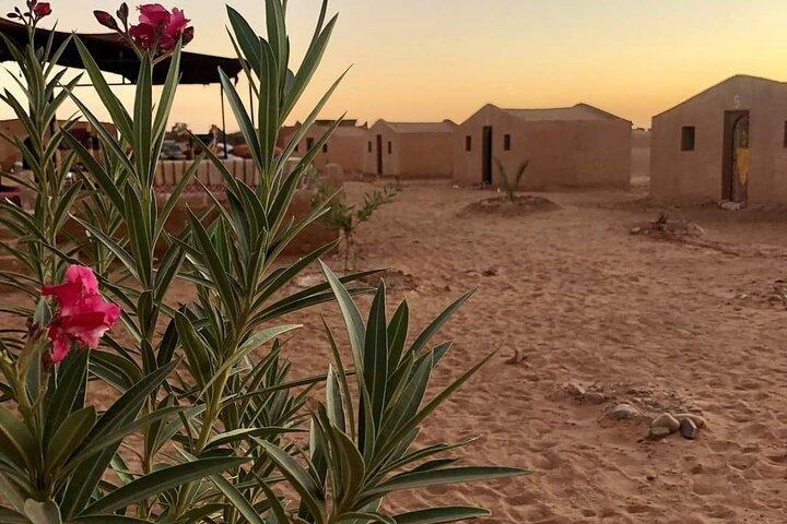 2 Day Desert Tour from Mhamid