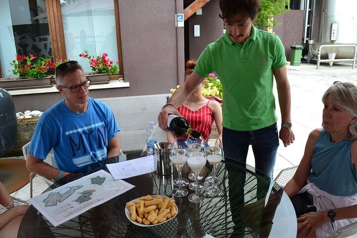 Private Tour: Prosecco Wine Tasting Day Trip with Lunch from Venice