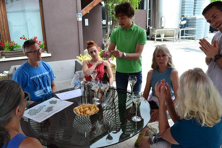 Private Tour: Prosecco Wine Tasting Day Trip with Lunch from Venice