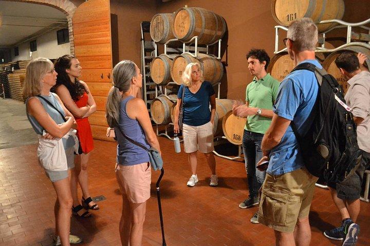 Private Tour: Prosecco Wine Tasting Day Trip with Lunch from Venice