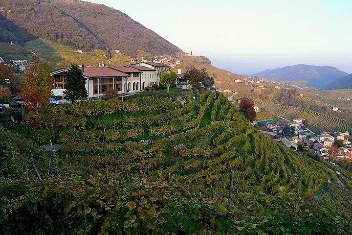 Private Tour: Prosecco Wine Tasting Day Trip with Lunch from Venice
