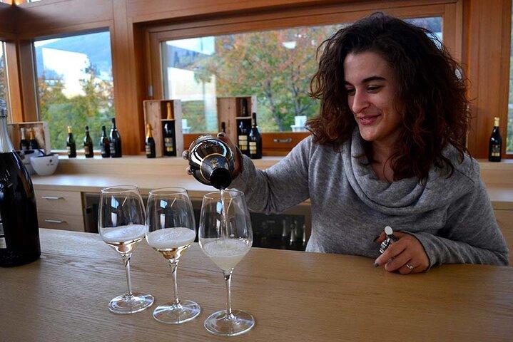 Private Tour: Prosecco Wine Tasting Day Trip with Lunch from Venice