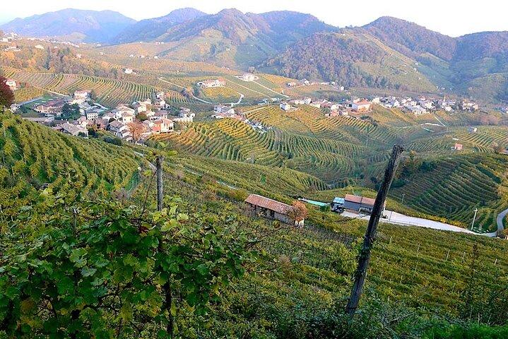 Private Tour: Prosecco Wine Tasting Day Trip with Lunch from Venice