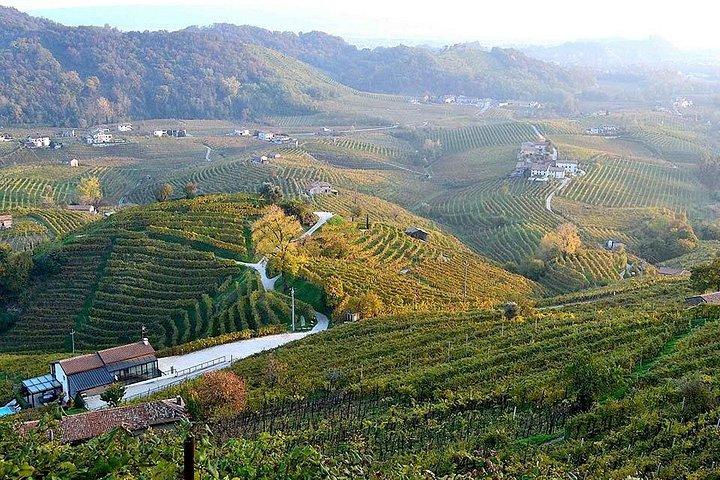 Private Tour: Prosecco Wine Tasting Day Trip with Lunch from Venice