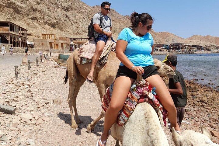 ラグナビーチのダハブで馬でアドベンチャーサファリ