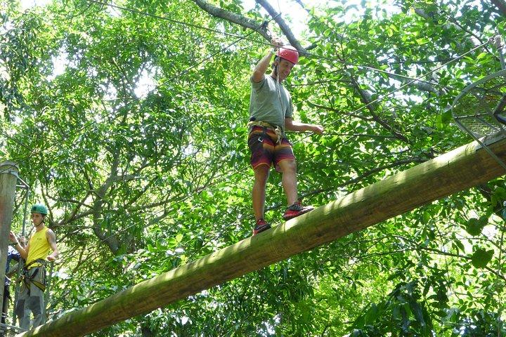 Zip Lining and Canopy Tree Tour in Rio de Janeiro