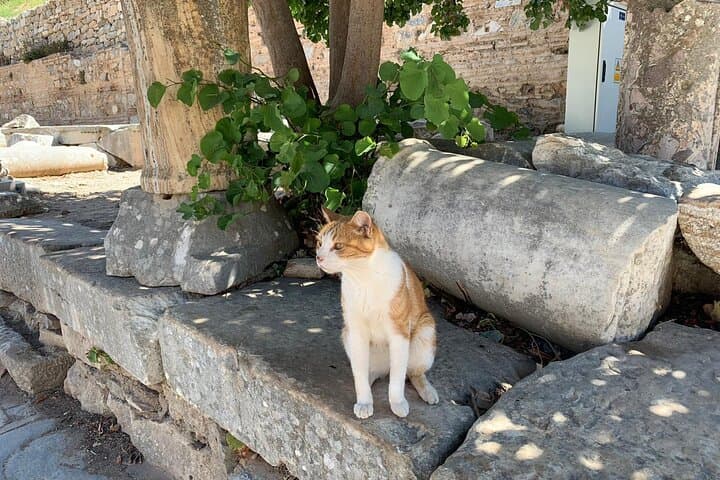 "Izmir to Ephesus: Private Highlights Tour with Fast-Track Entry"