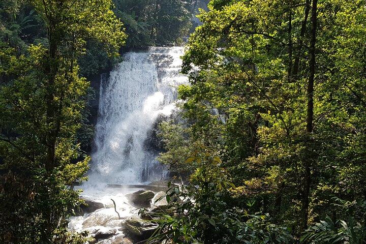 - Wow! Doi Inthanon National Park Eventyr, frokost og indgang inkluderet