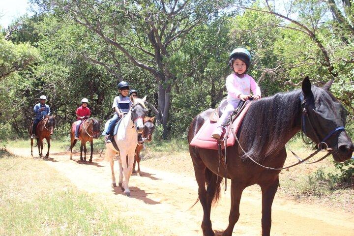 Seilbahn & Horse Trail Safari