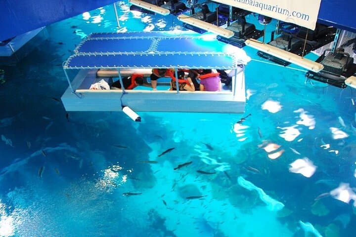 Dubai Aquarium & Underwater Zoo with Penguin Cove