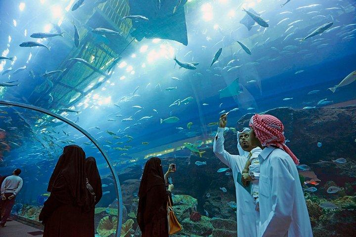 ドバイ水族館とペンギン コーブのある水中動物園