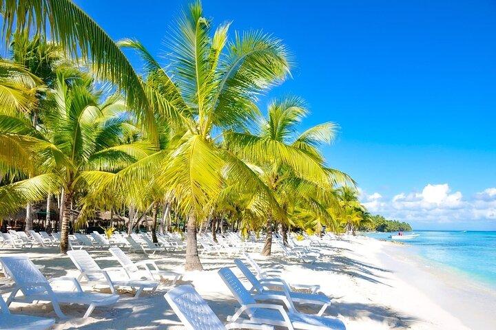 Full-Day Saona Island Escape – Beaches, Adventure, Paradise Vibes
