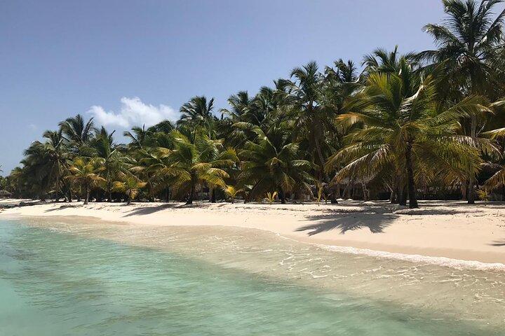 Full-Day Saona Island Escape – Beaches, Adventure, Paradise Vibes