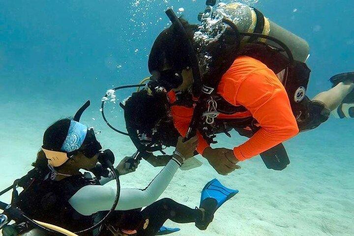 Cours de plongée sous-marine de 4 heures dans le parc Tayrona