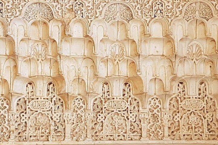 Alhambra Guia Oficial Privado (si tiene su entrada alhambra )