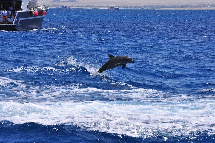 Hula Hula-øen Snorkeltur på havet, frokost, vandsport-Hurghada