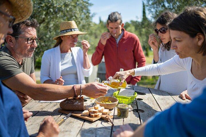 Lille gruppe Halvdags Languedoc Vin og Olive Tour fra Montpellier