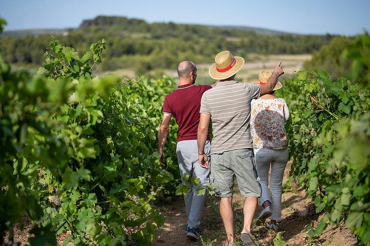 Small-Group Half-Day Châteaux of Montpellier Wine Tour