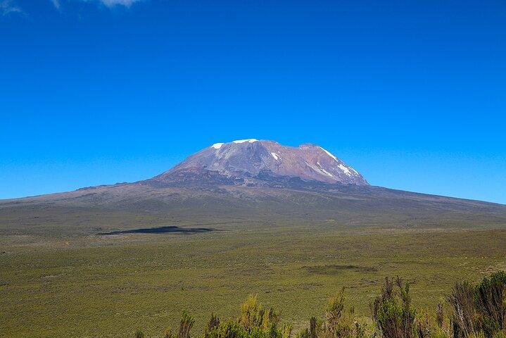 Heldagsvandring från Kilimanjaro till Shira Plateau