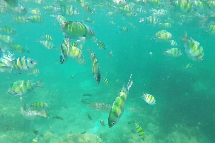 Discover Phi Phi & Khai Nai Islands on a Speedboat Tour