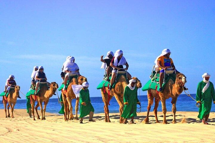 Giro in cammello e incontro a Los Cabos