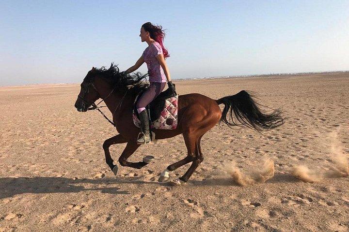 乗馬アドベンチャー2時間の海と砂漠 - ハルガダ