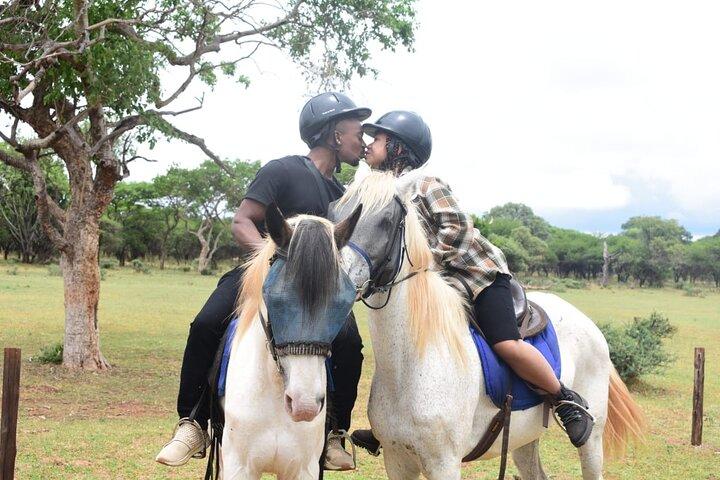 Seilbahn & Horse Trail Safari