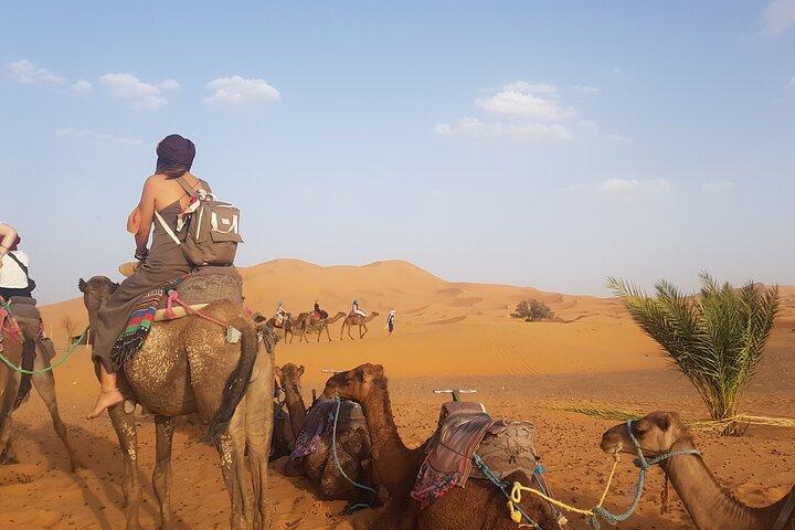 4-dages Sahara-ørkentur fra Marrakech slutter ved Marrakech