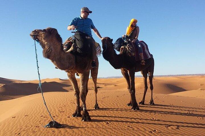 Tour privato del deserto di Marrakech a Fez