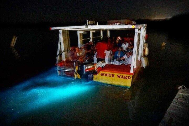 モンテゴ ベイからのルミナス ラグーン ツアー (輝く海)