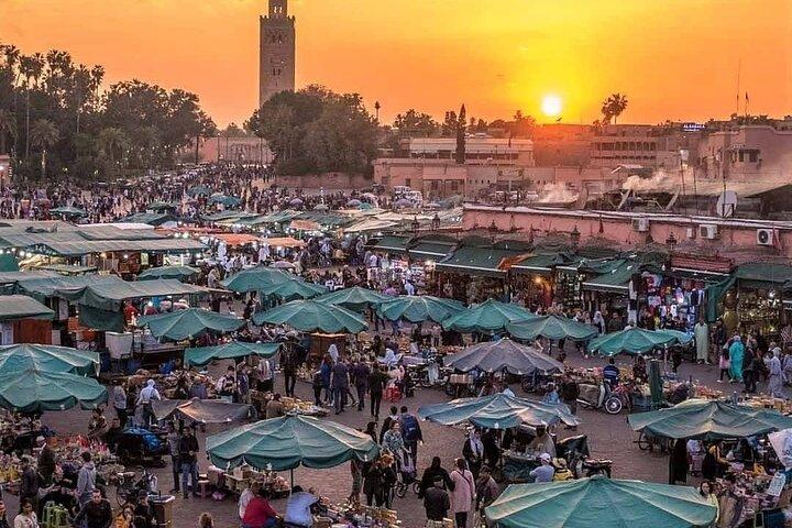 Shared Sightseeing Tour Visit to Marrakech with Licensed Guide