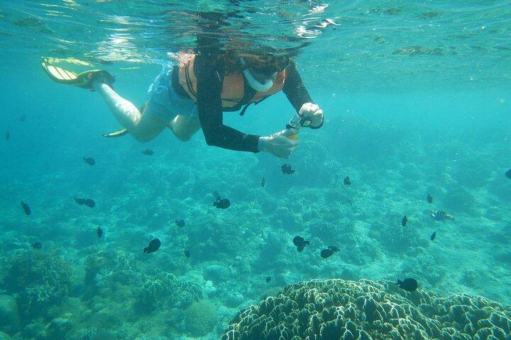 Mactan-Cebu Island Hopping Cruise with Lunch & Roundtrip Transfer