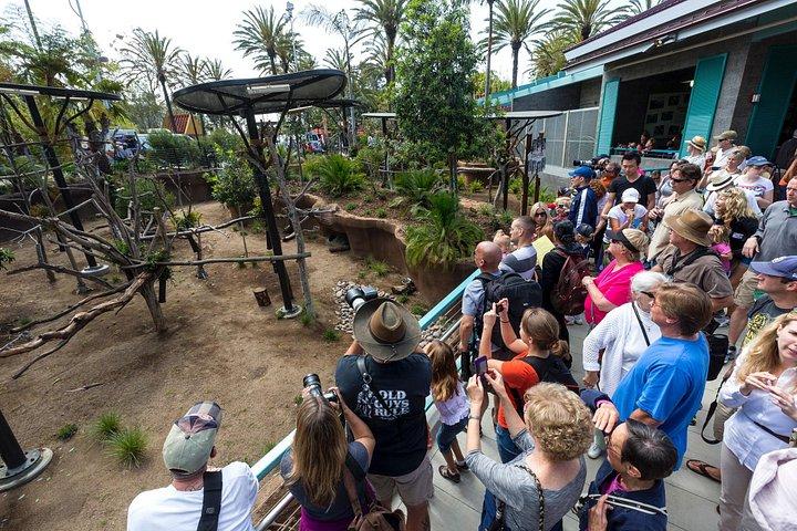 サンディエゴ動物園1 - デイパス : 任意のデイチケット