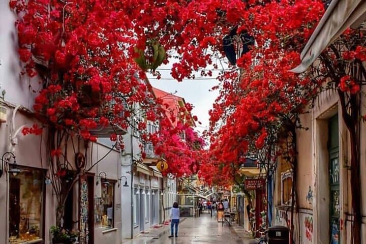 Mycenae, Epidaurus, Nafplio, Corinth Canal Private Full Day Trip From Athens