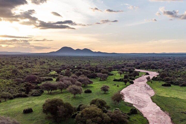 Reserva de caça de Selous de 5 dias e excursão ao Parque Nacional de Mikumi