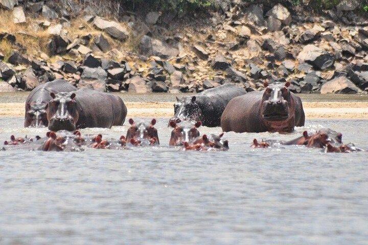3-daagse Nyerere National Park Safari (Selous Game Reserve)