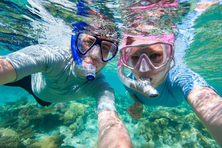 Tour di snorkeling a Cozumel a Palancar Reef e El Cielo