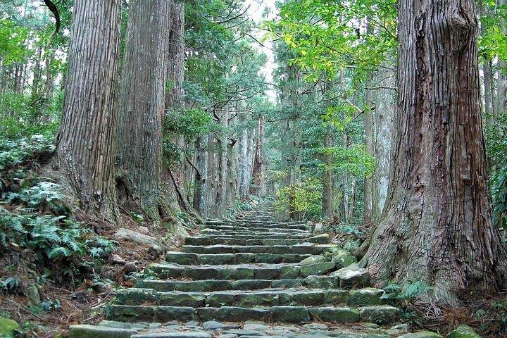 熊野古道半日大門坂と那智大社ツアー