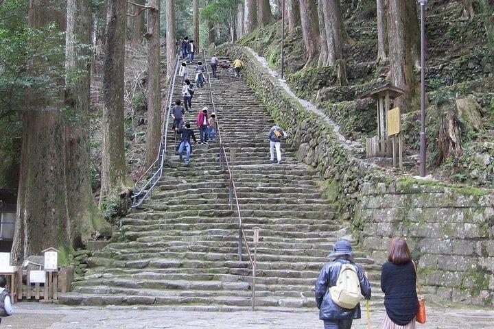 熊野古道半日大門坂と那智大社ツアー