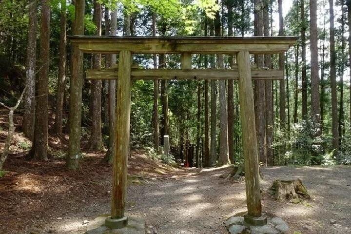 大阪発熊野古道2日間ウォーキングツアー