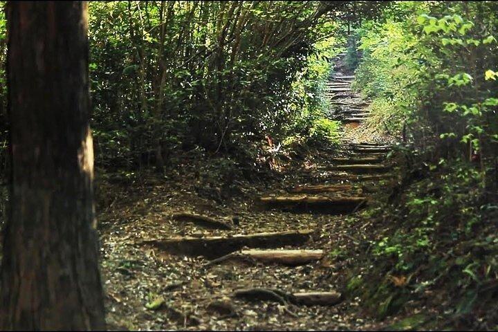 大阪発熊野古道2日間ウォーキングツアー