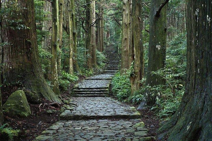 Excursión a pie de 2 días a Kumanokodo desde Osaka