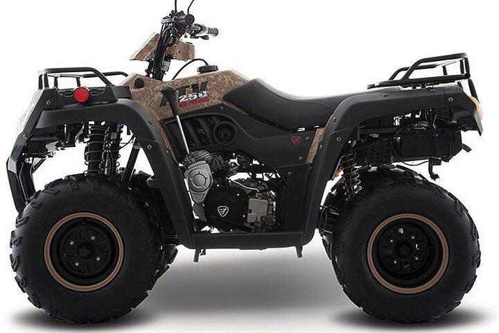 Tulum Area Experience Guidad ATV-tur till 3 Cenotes, snorkla/simma och lokal lunch