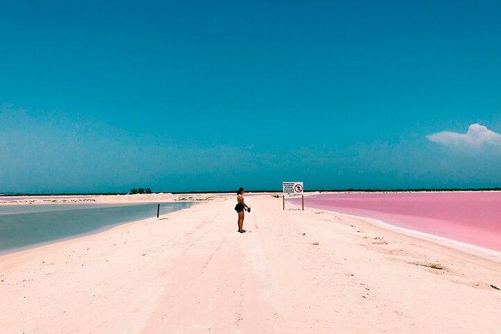 Lago Rosa Las Coloradas + Rio Lagartos Reserve! De Cancún